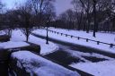 IMG_2584.JPG